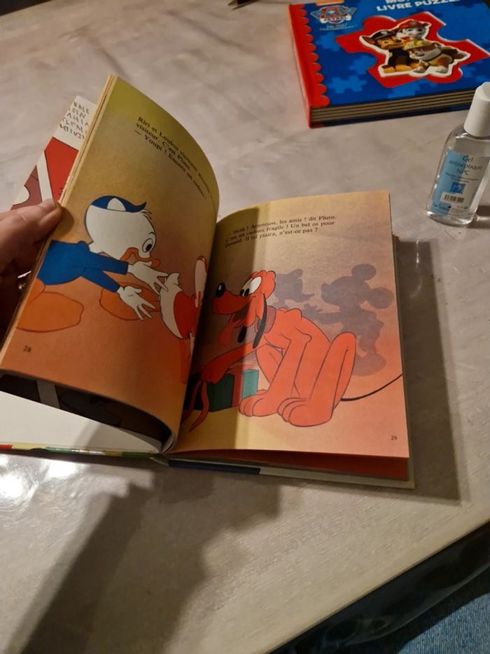 Donald et ses amis - photo numéro 6