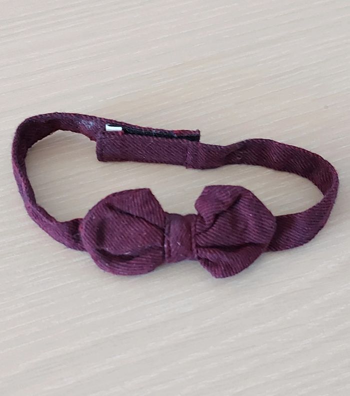 Petit Noeud papillon - photo numéro 2