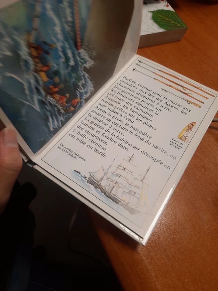 Livre découverte Benjamin - photo numéro 10