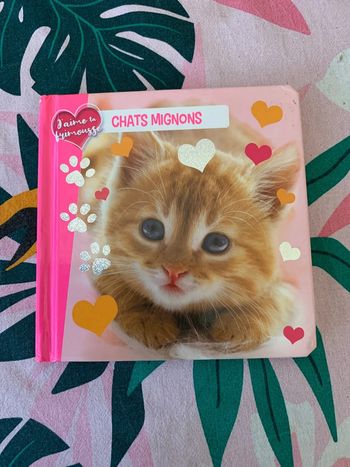 Chats mignons