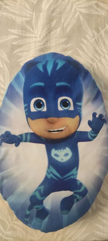 Coussin déhoussable pyjamask