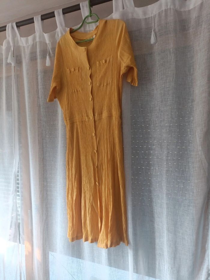 Robe jaune berger du nord
