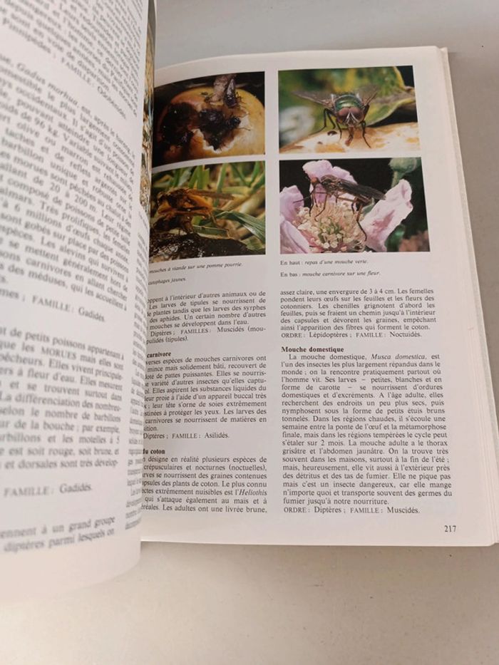 La nouvelle encyclopédie des animaux France loisirs édition 1980 - photo numéro 12