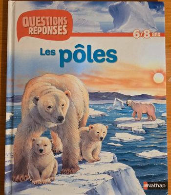 #questions réponses les pôles