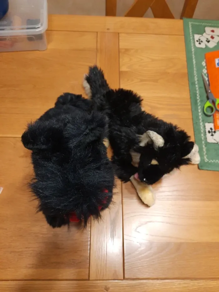 Lot 2 peluches chien - photo numéro 4