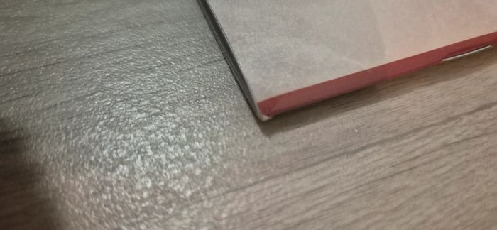 Livre - L'enfance du Père Noël - photo numéro 9