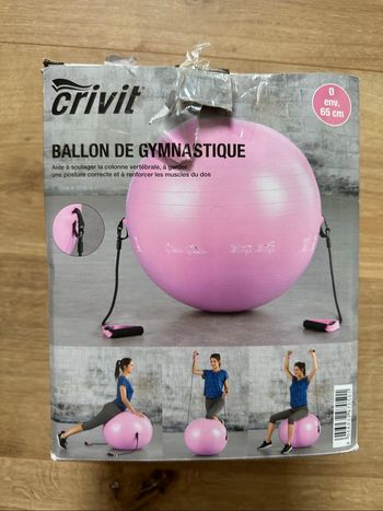 Ballon de gymnastique/grossesse