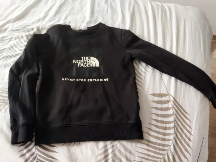 Pull the North face