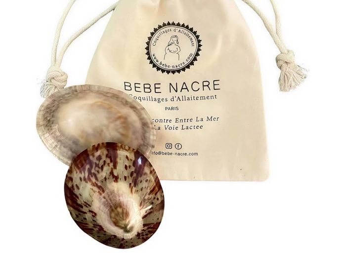 Coquillage allaitement