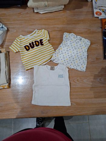 Lot 3 tee-shirts