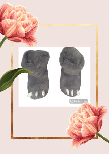 💫🌸Chaussons enfant🌸💫