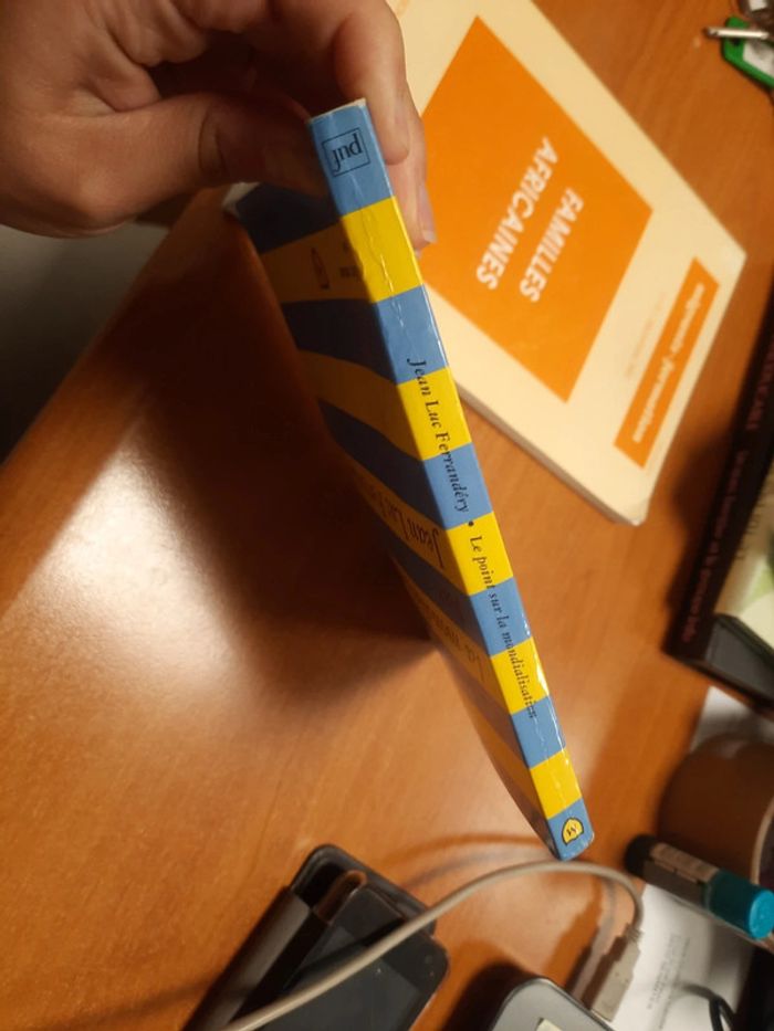 Lot de 2 livre mondialisation et famille africaines - photo numéro 3