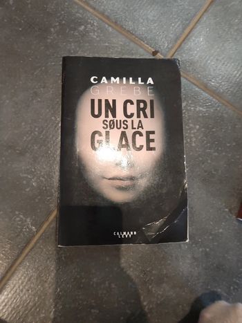 Livre : Un cri sous la glace