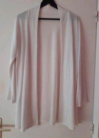 gilet blanc