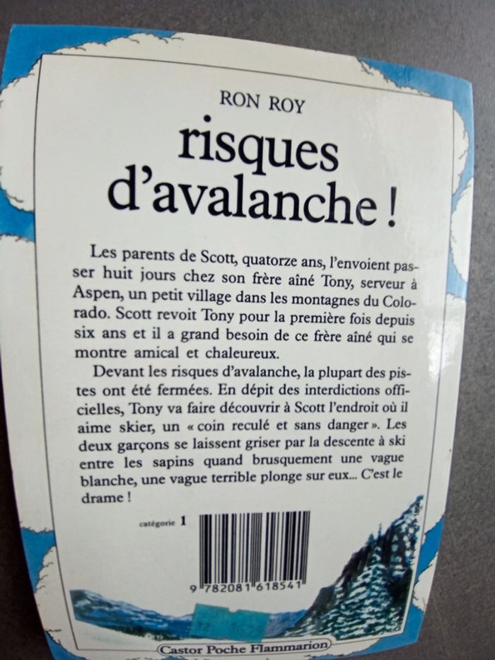 Livre castor poche junior risques d'avalanche - photo numéro 2