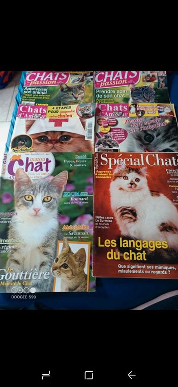 Lot livre fin sur les chats