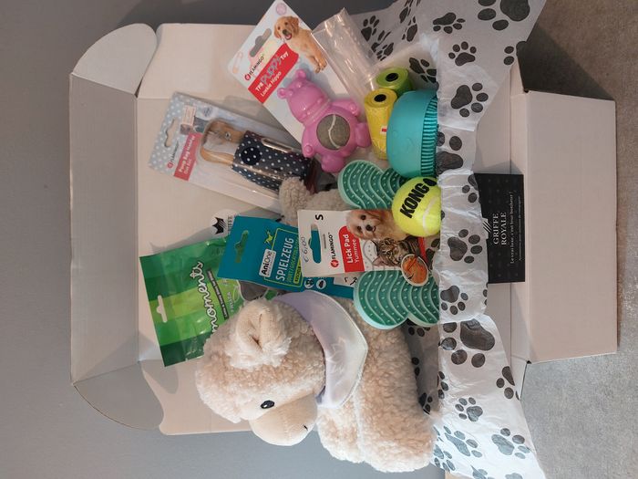 Coffret bienvenue pour chiot ou petit chien