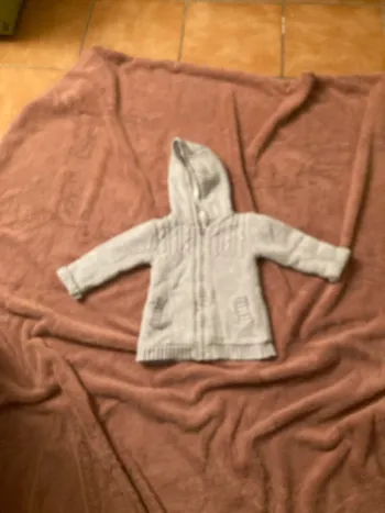 Manteau en fourrure grise pailletée