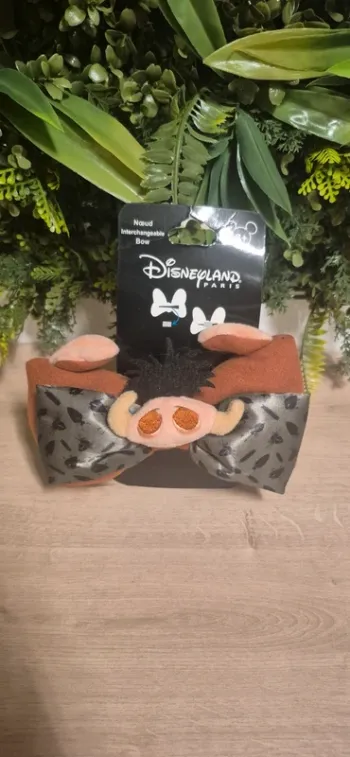 Pince a cheveux disney
