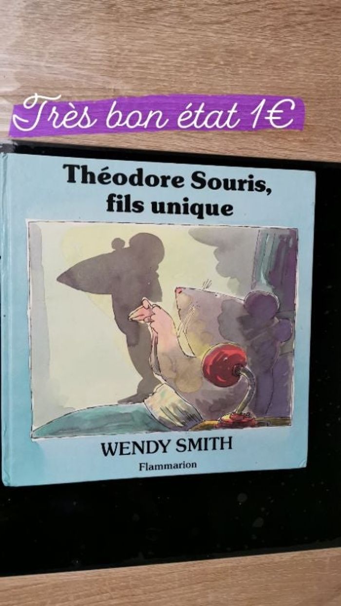 Livre Theodore souris fils unique