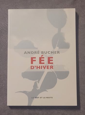 Fée d'hiver par André Bucher