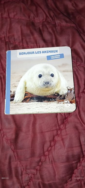 Livre Bonjour les animaux 