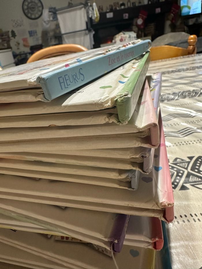 Lot livres princesse parfaite - photo numéro 4