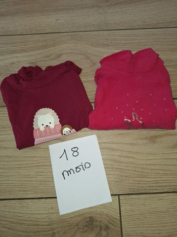 Lot Tee-shirts manches longues col roulé 18 mois gille