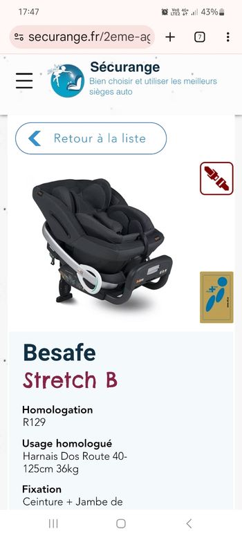 Siege besafe stretch b