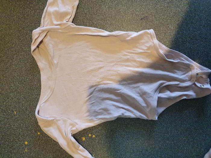 Body