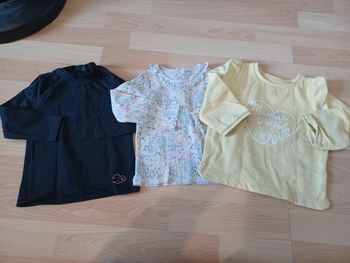 Lot 2 t-shirts manches longues 1 pull