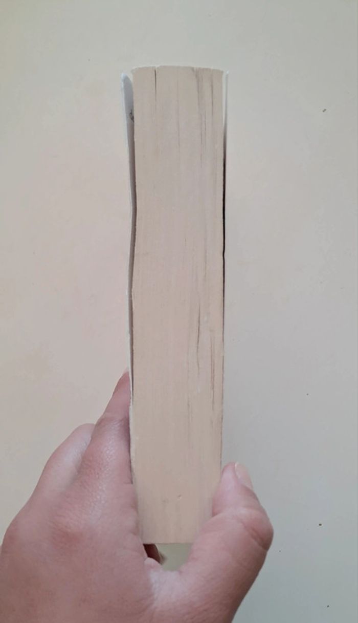 Romance Collection Passion - photo numéro 3