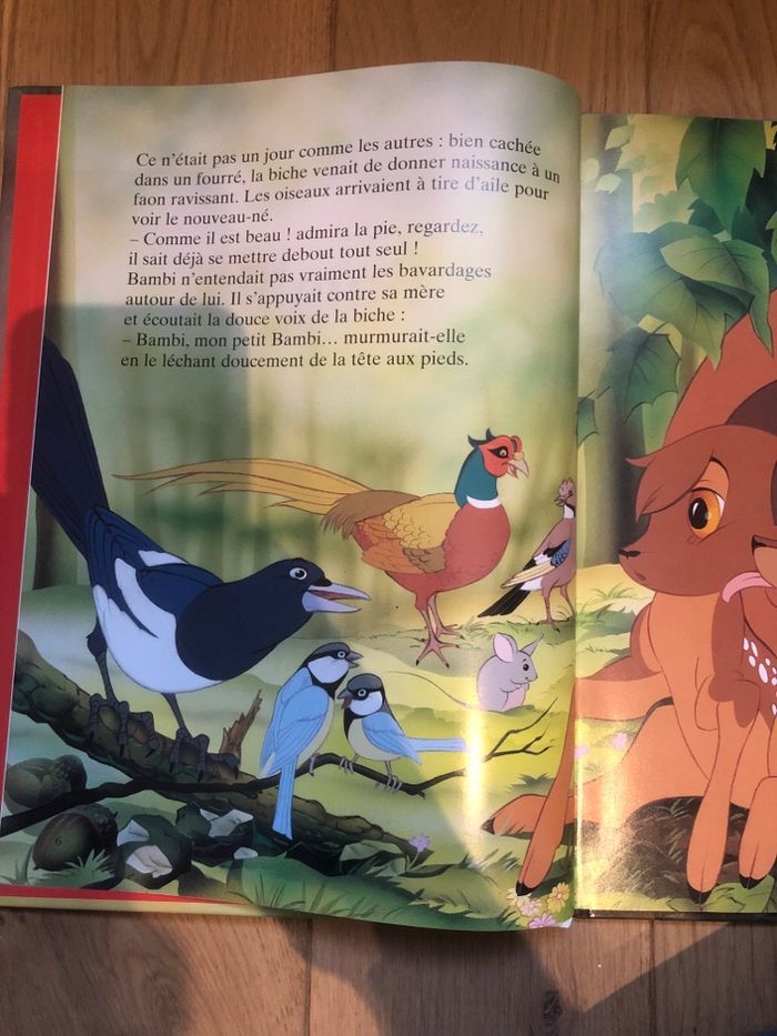 Il était une fois Bambi - Van Gool - photo numéro 2