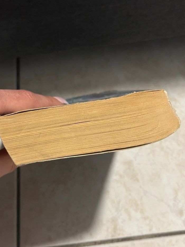 Les Paradis Artificiels de Baudelaire - photo numéro 4