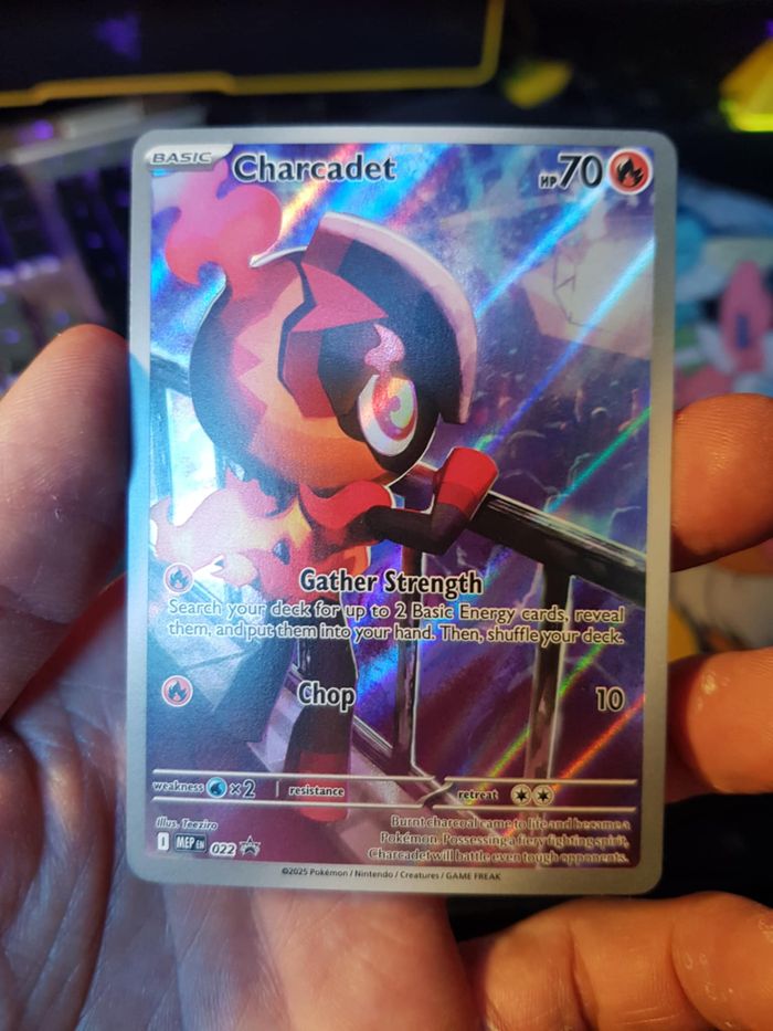 Carte Pokémon Promo Charcadet