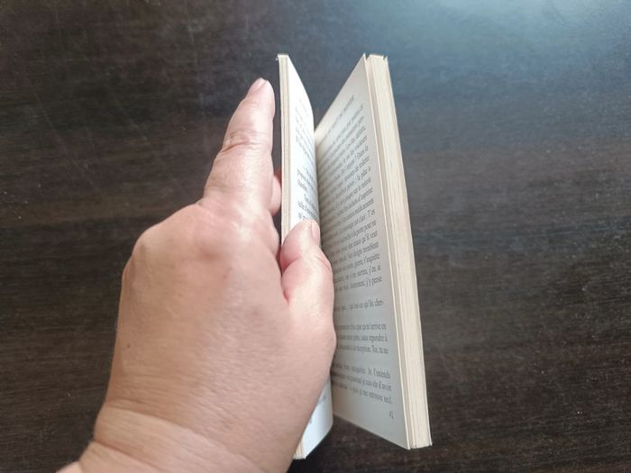 Livre LE DISPARU DU BOUT DU MONDE - Christine Beigel - photo numéro 5