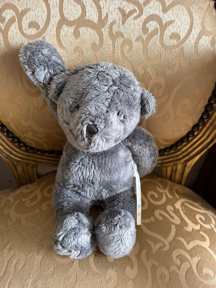 Petit ourson gris - photo numéro 13