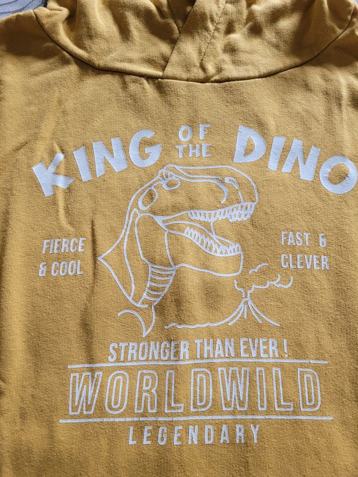 Sweat king dino - photo numéro 2