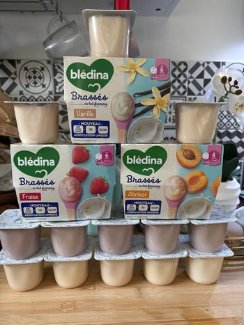 Lot de yaourt Bledina 