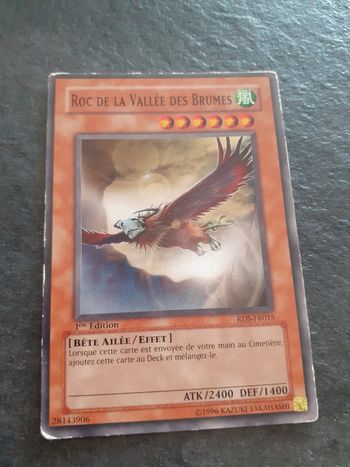 Carte Yu-Gi-Oh ! Roc de la vallée des brumes RDS-FR015