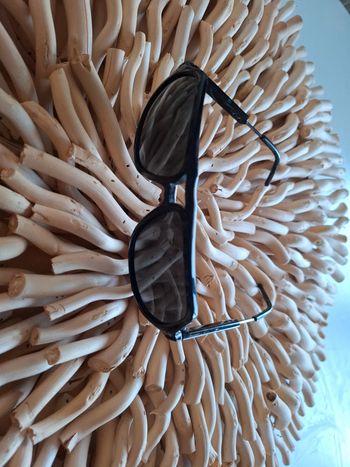 Lunettes polaroid