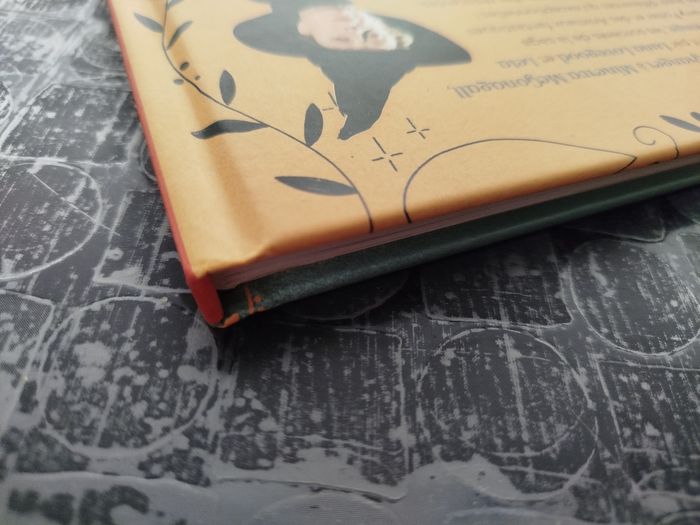 Livre "Fières d'être sorcières !" - Harry Potter - photo numéro 8