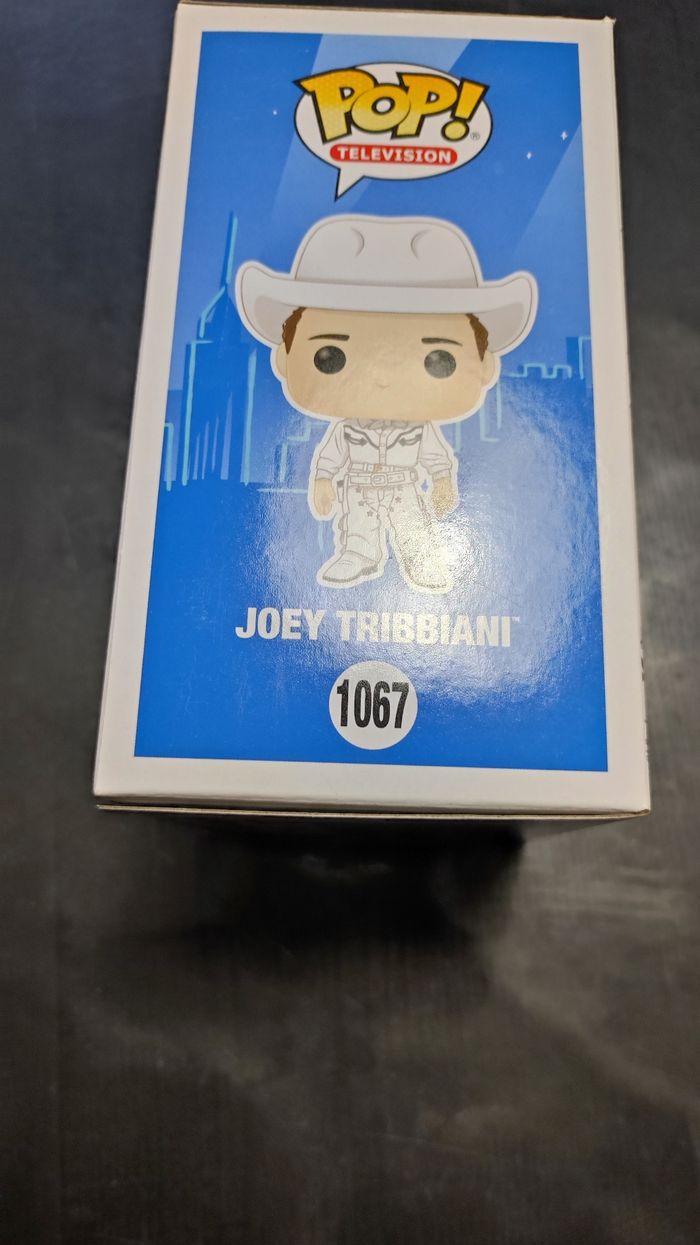 figurine 1067 Joy Tribbiani - photo numéro 6