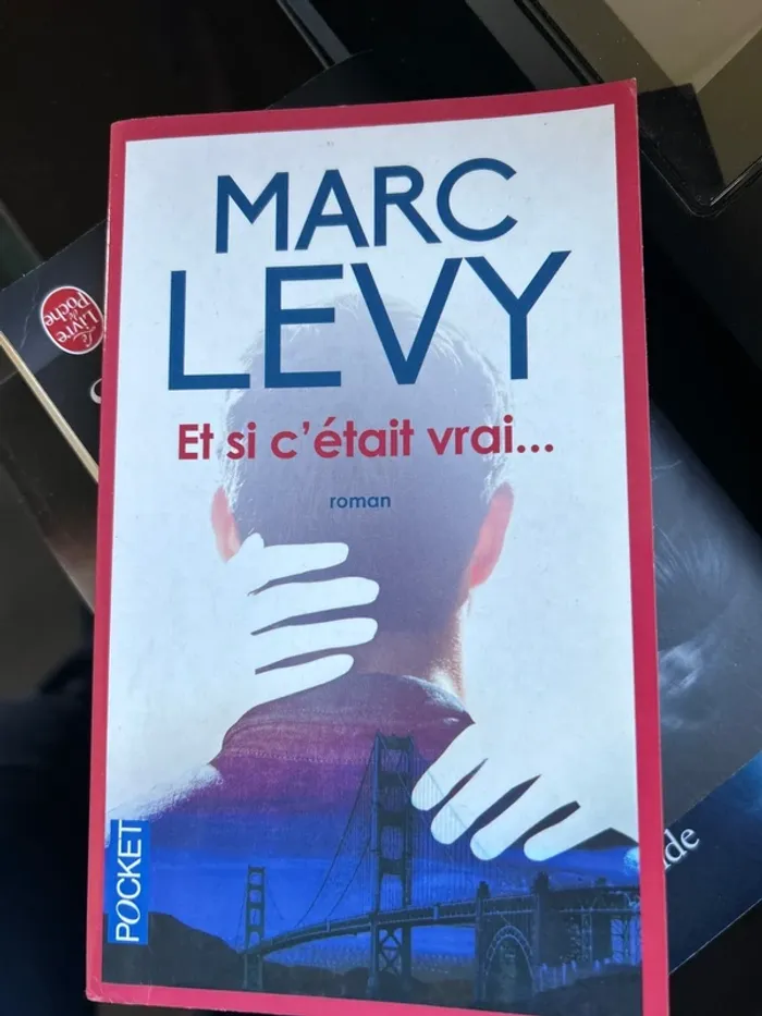 Livre et si c etait vrai