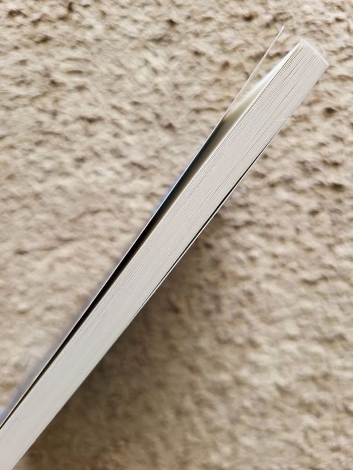 Livre Lézard de Banana Yoshimoto - photo numéro 3