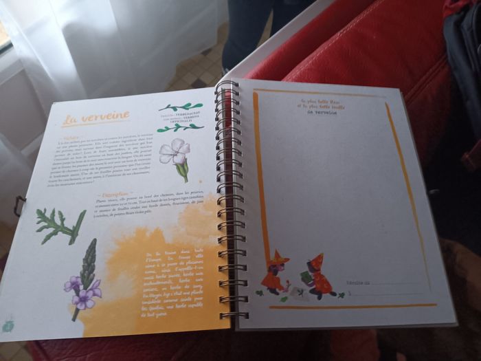Livre L'herbier des petits sorciers - photo numéro 3