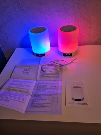 2 Lampes de chevet tactile portable