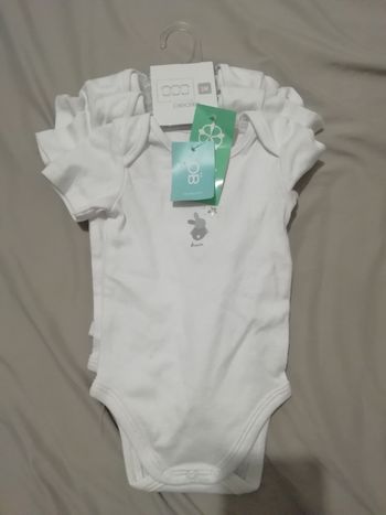 Lot de 3 bodies neuf