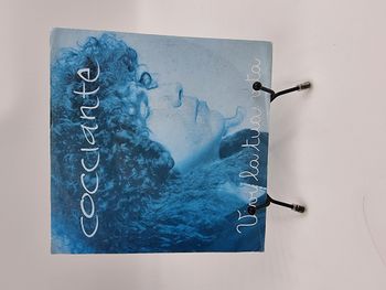 Vinyle 45 tours Cocciante : Vivi la Tua Vita avec fourreau
