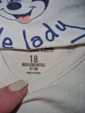 Lot 6 bodys orchestra